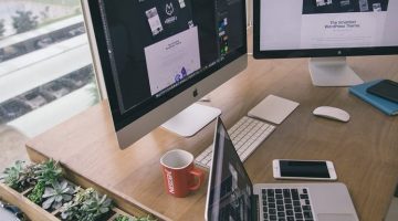 Top Professional Services to Help Your Growing Business