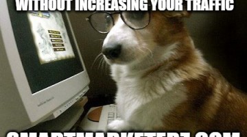 a smart dog with glasses in front of a computer